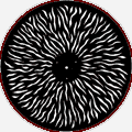 #30012 Radial Breakup