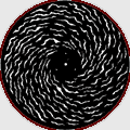 #30013 Spiral Breakup